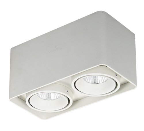 Точковий світильник Italux SLC78005/20W WH Bonnie