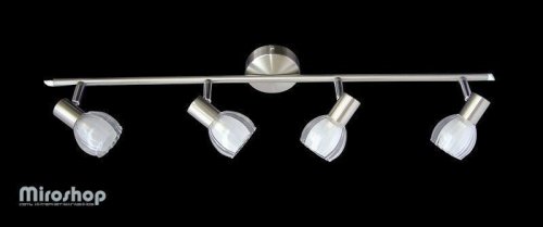 Italux Carnation-4P Carnation