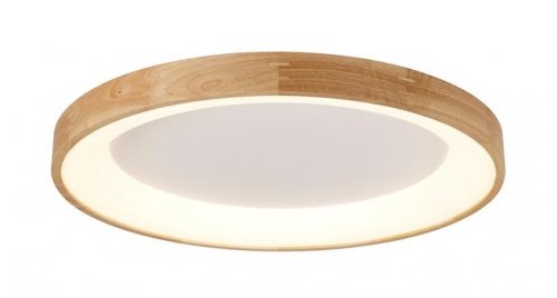 Потолочный светильник Azzardo AZ2698 Silvam 65 Top