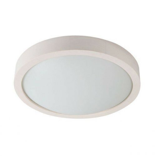 Потолочный светильник Kanlux OLIE LED 275 SN-WW (26100)