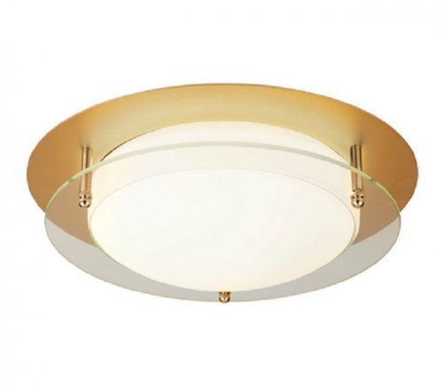 Стельовий світильник Searchlight 6830-38GO Bathroom Flush 