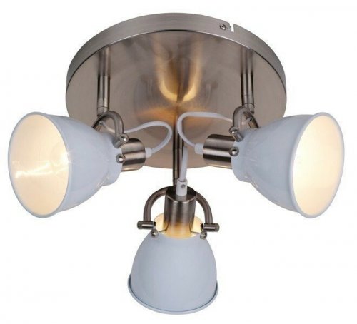 Спот Zuma Line RLX94023-3W PICTOR