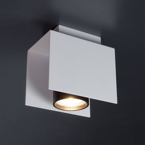 Потолочный  светильник  Imperium  Light  316112.01.05  Bonn