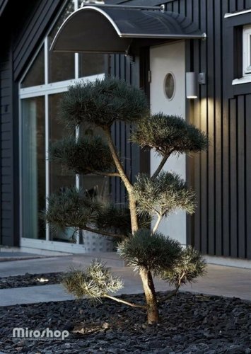 Ґрунтовий світильник Markslojd 104722 TRADGARD (64291) 