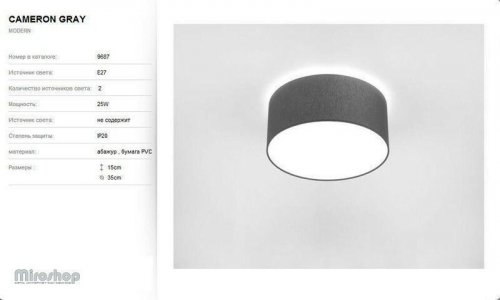 Стельовий світильник Nowodvorski 9687 CAMERON GRAY (93052)