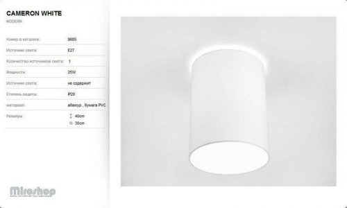 Стельовий світильник Nowodvorski 9685 CAMERON White (93050)