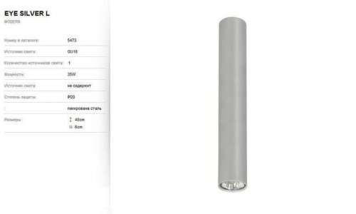 Светильник точечный Nowodvorski 5473 EYE Silver L (66478)