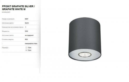 Точковий світильник Nowodvorski 6007 POINT Graphite Silver/Graphite White M (78641)