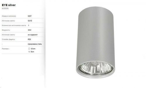 Світильник точковий Nowodvorski 5257 EYE Silver S (66487)