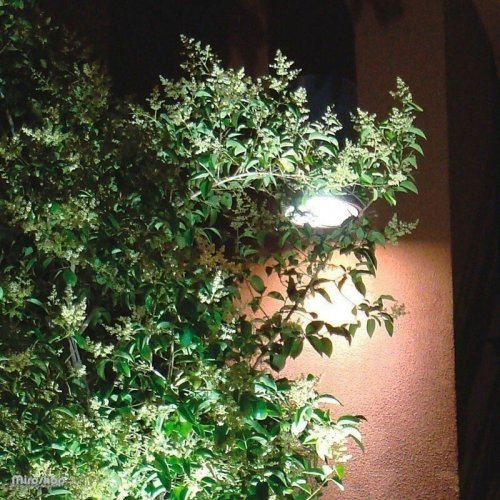 Ґрунтовий світильник Searchlight 2505WH LED Outdoor (21319)