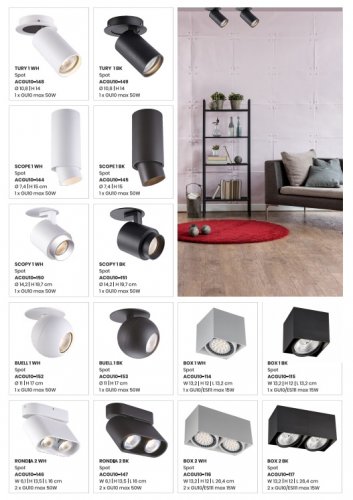 Спот Zuma Line ACGU10-116 BOX 2