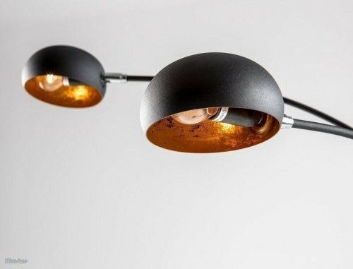 Торшер Zuma Line TS-5805-BKGO BRANCA 