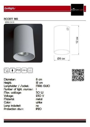Точечный светильник Imperium Light 189112.01.01 Accent Big