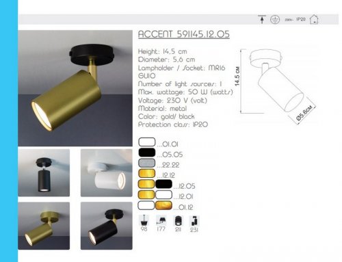 Спот Imperium Light 591145.12.05 Accent