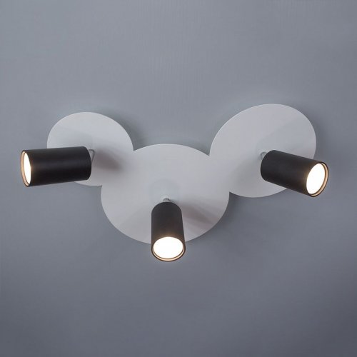 Спот  Imperium  Light  292317.01.05  KATE