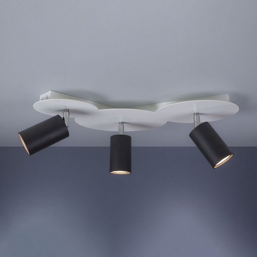 Спот  Imperium  Light  292317.01.05  KATE