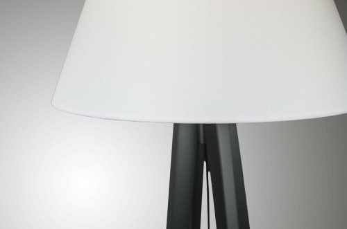 Торшер Imperium Light 981160.01.05 Nataii 