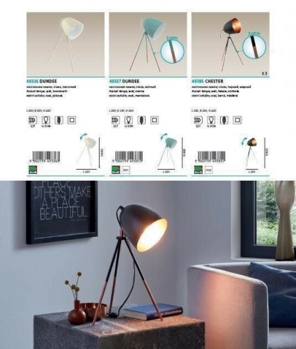 Торшер Eglo 49385 Chester (89059)